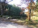 a Etang de la Besace.JPG